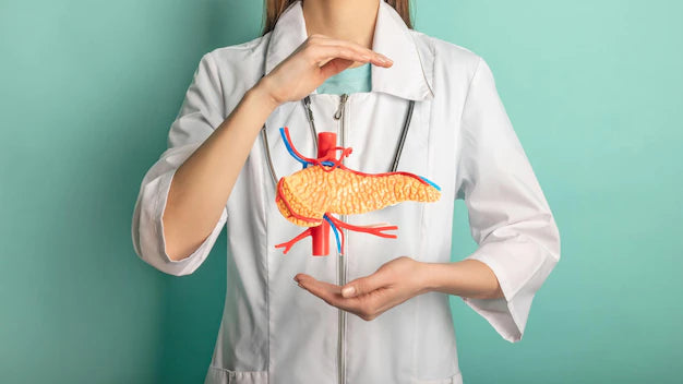 How Does Glucagon Work In The Body? Immagine