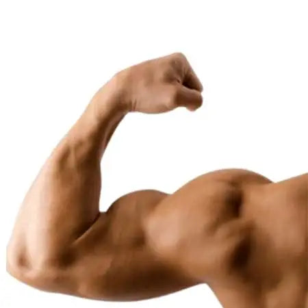 Fascia da braccio taglie forti per sensori di glucosio - Vestibilità sicura e confortevole fino alla 5XL